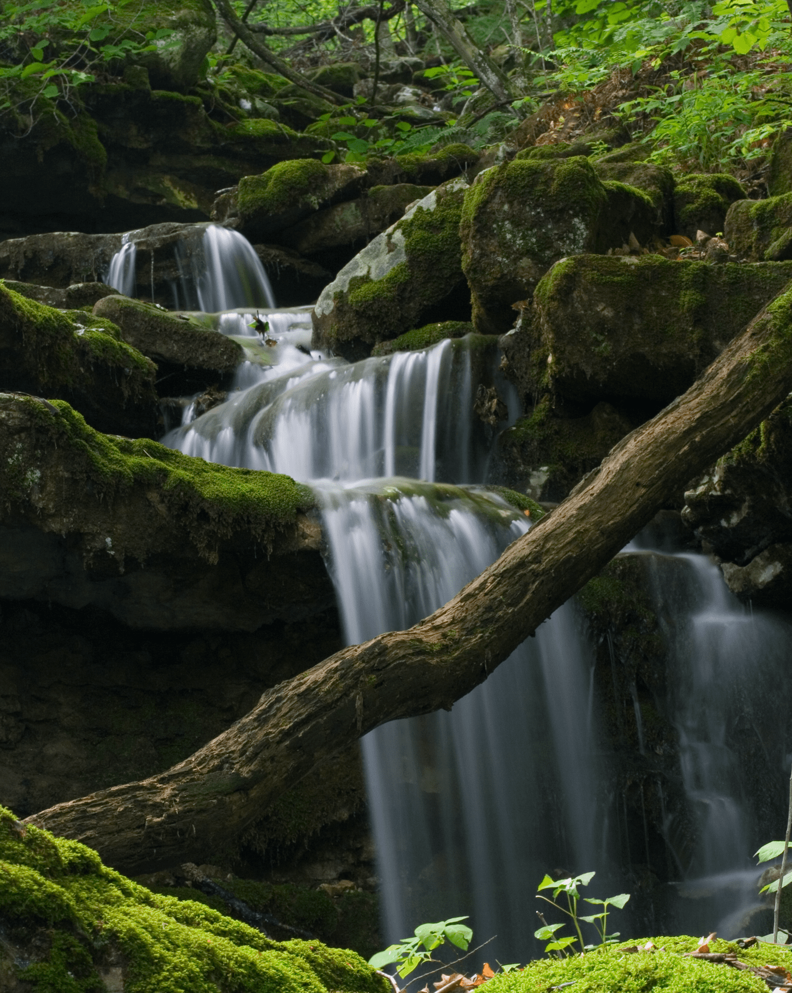 Waterfall in Mt Magazine State Park, Arkansas